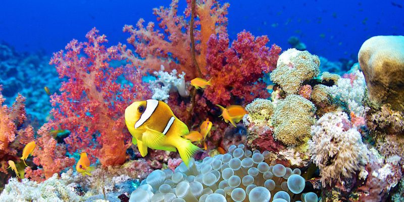 hurghada-scaled
